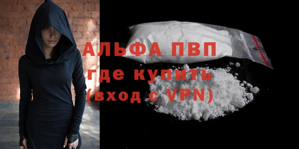 стаф Новозыбков