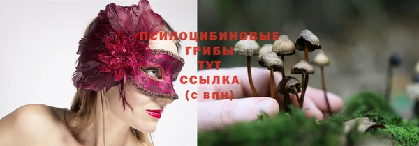 твердый Нязепетровск