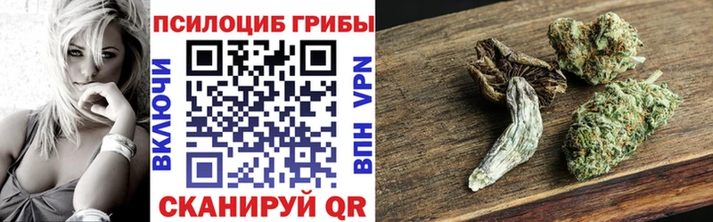 Галлюциногенные грибы GOLDEN TEACHER  дарнет шоп  Североморск 