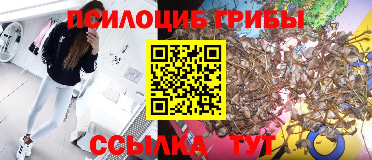 Галлюциногенные грибы MAGIC MUSHROOMS  Североморск 