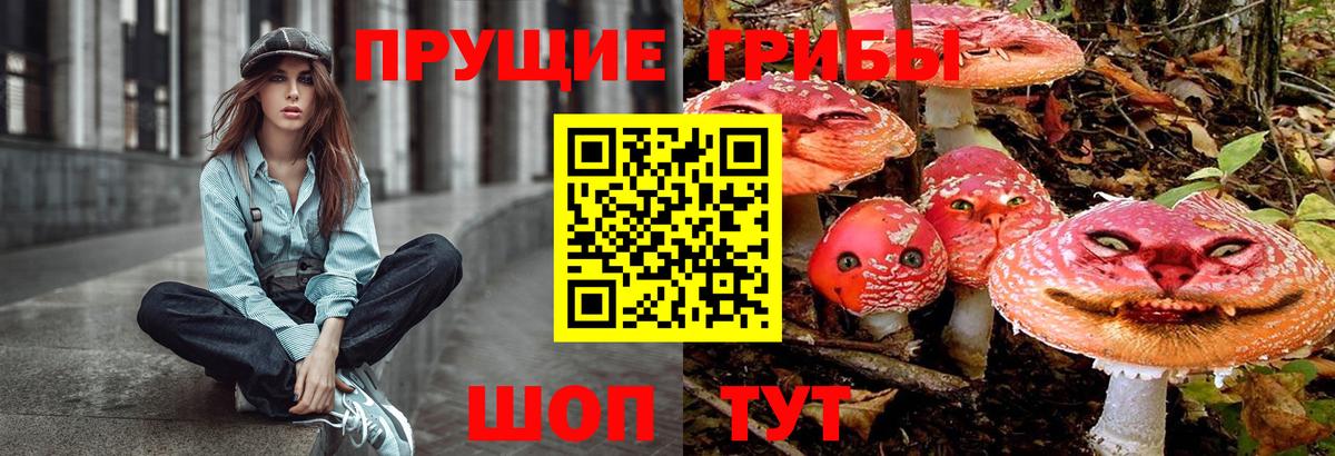 Галлюциногенные грибы мухоморы Североморск