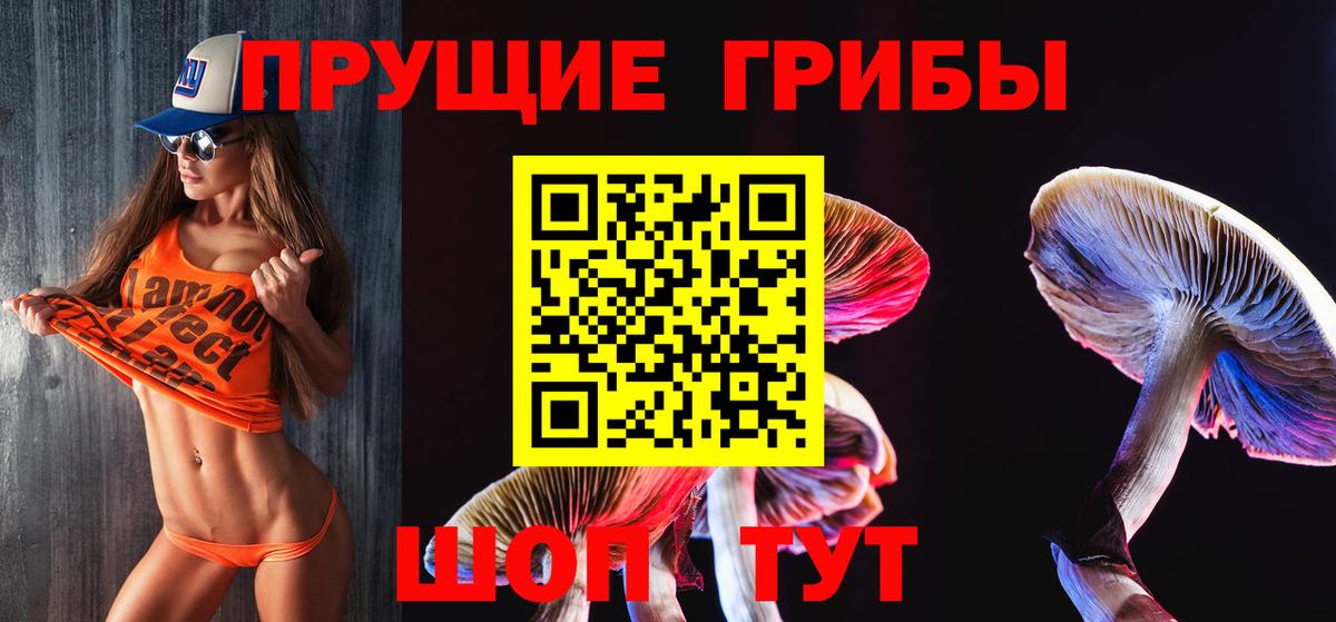 Псилоцибиновые грибы Psilocybine cubensis Североморск