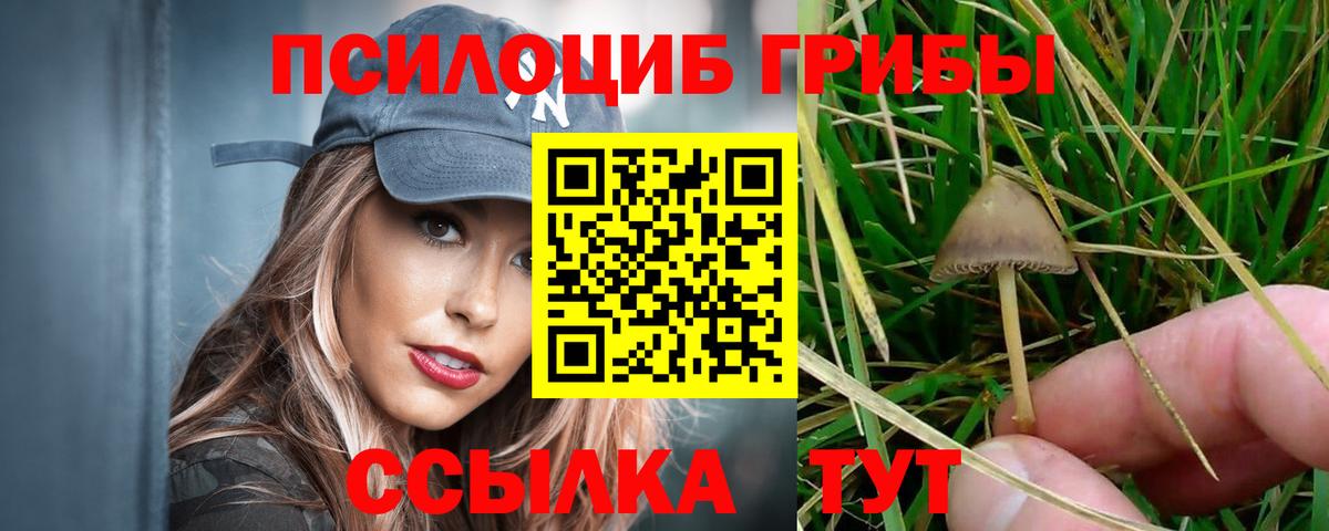 Псилоцибиновые грибы мицелий  Вход с VPN  Галлюциногенные грибы ЛСД  Североморск 