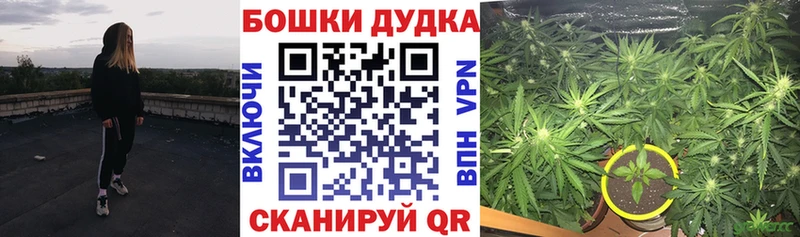 Конопля сатива Североморск